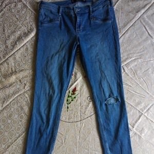 Hollister Jeggings