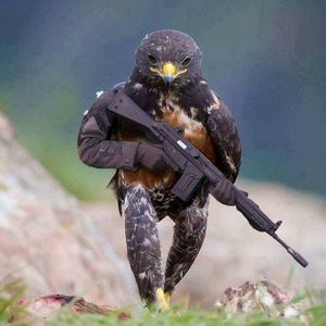 Meet your Posher, Alex