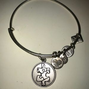 NWOT Alex and Ani Autism Awareness bracelet