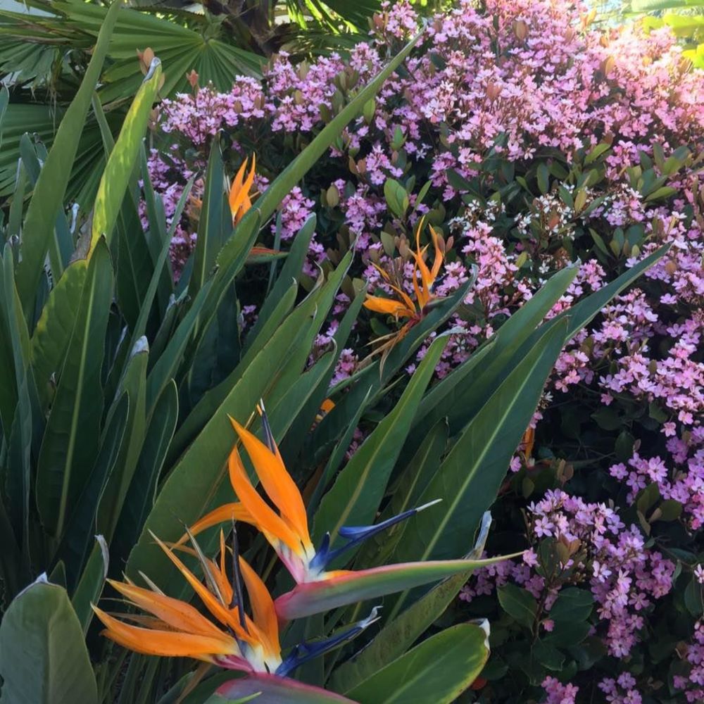 Meet your Posher, Pam