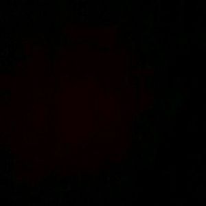 Meet your Posher, Luis