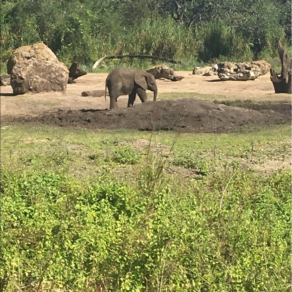 Meet your Posher, Cali