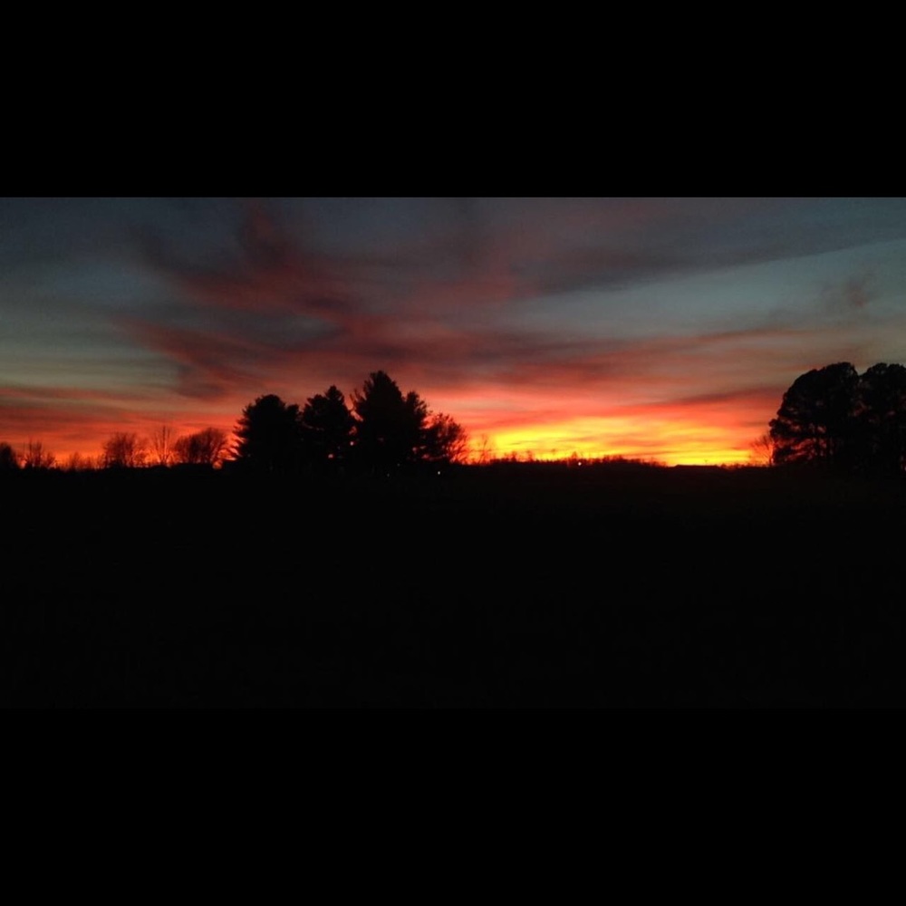 Meet your Posher, Ally