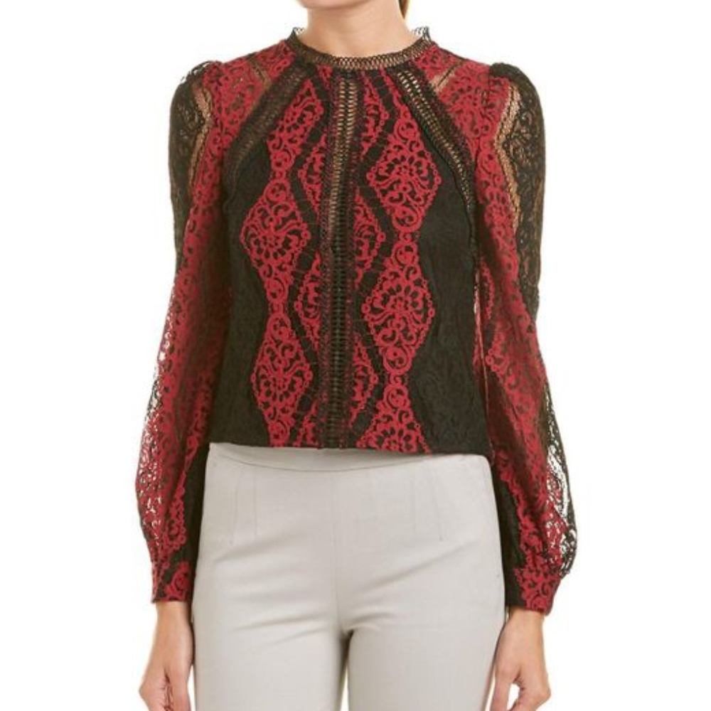 💕💕 HOST PICK 💕💕Gracia Mesh Long Sleeve Top