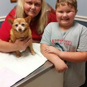 Meet your Posher, Donna