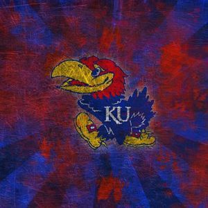 Meet your Posher, Nicholas