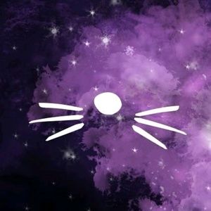 Meet your Posher, Dalila