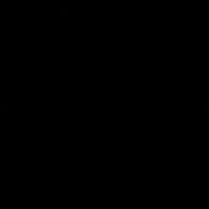 Meet your Posher, Jerry