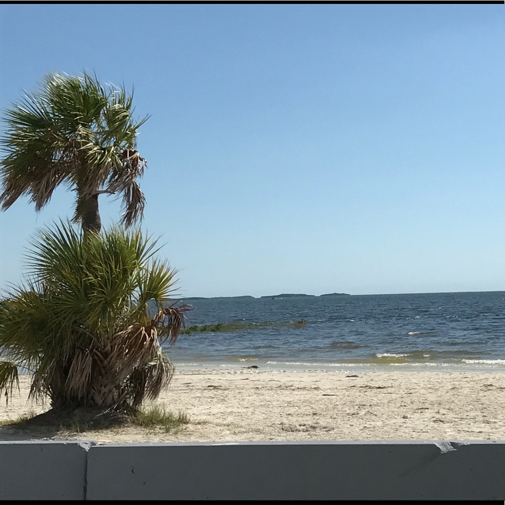 Meet your Posher, Cathi