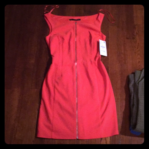 Zara Never Worn Dress with Zipped Detail - Picture 1 of 4