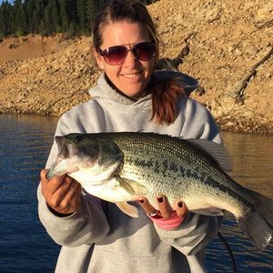 Meet your Posher, Heidi