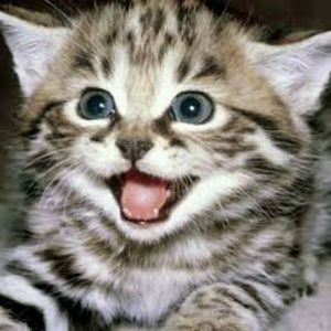 Meet your Posher, Jesse