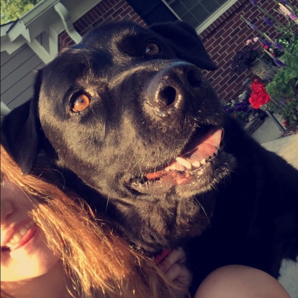 Meet your Posher, Abby - Picture 1 of 1