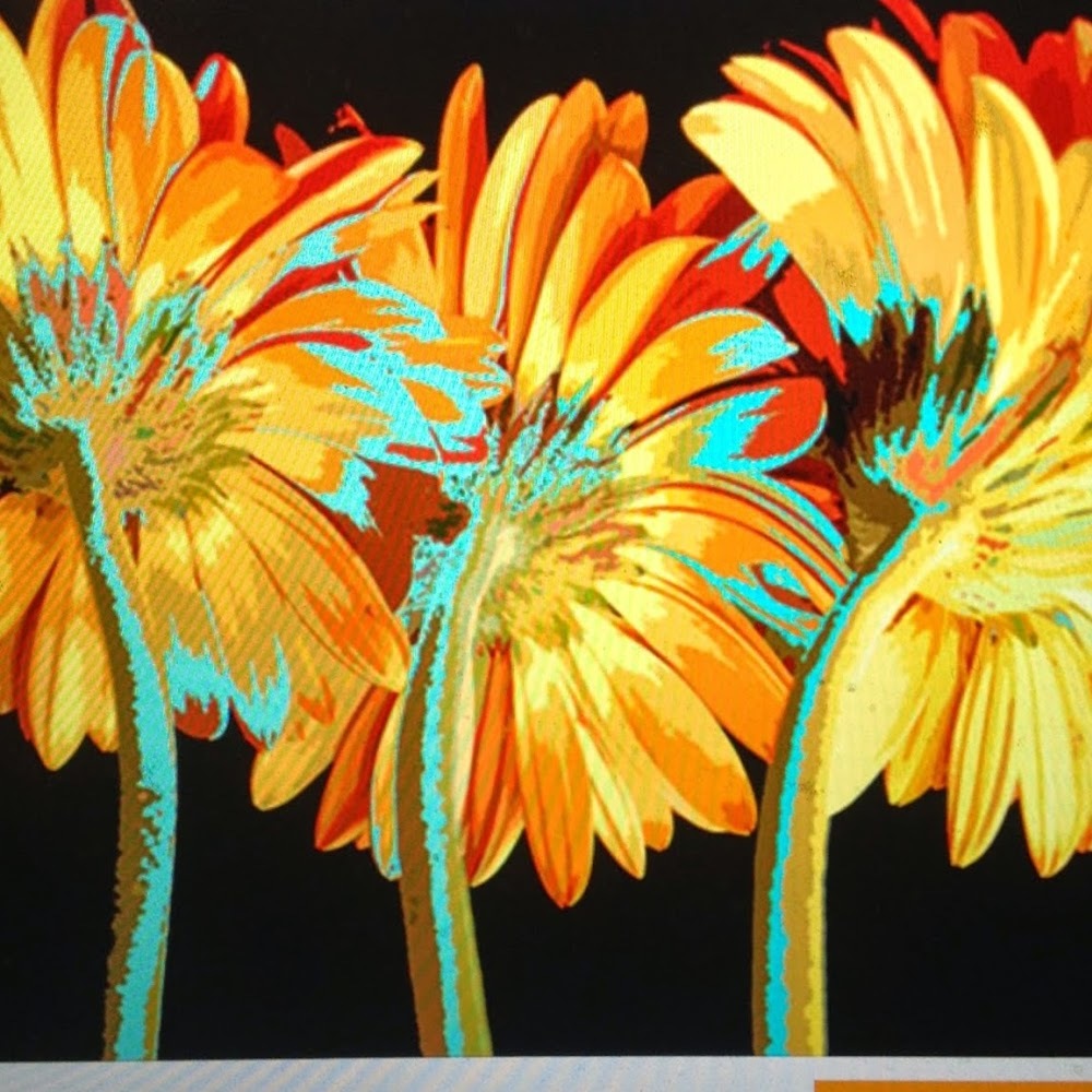 Meet your Posher, Liz