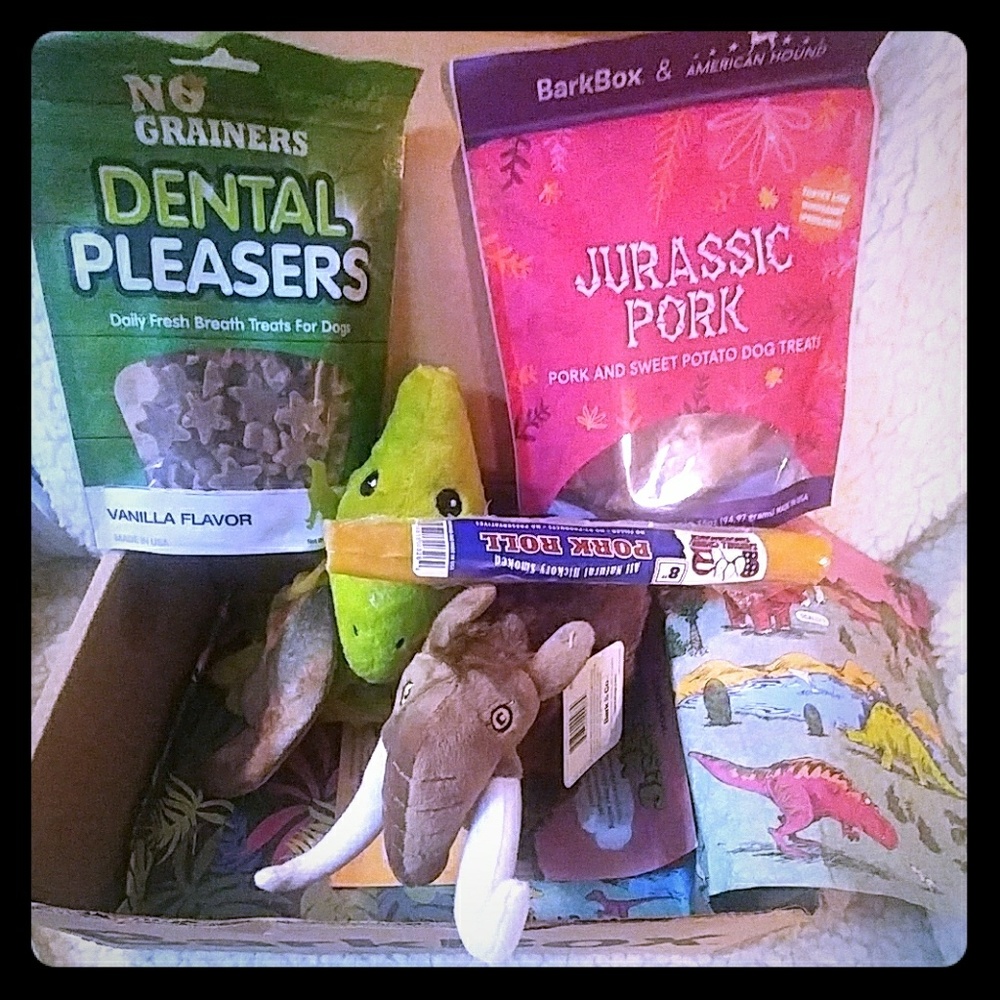 Barkbox Dinosaur Theme Christmas for your Dog