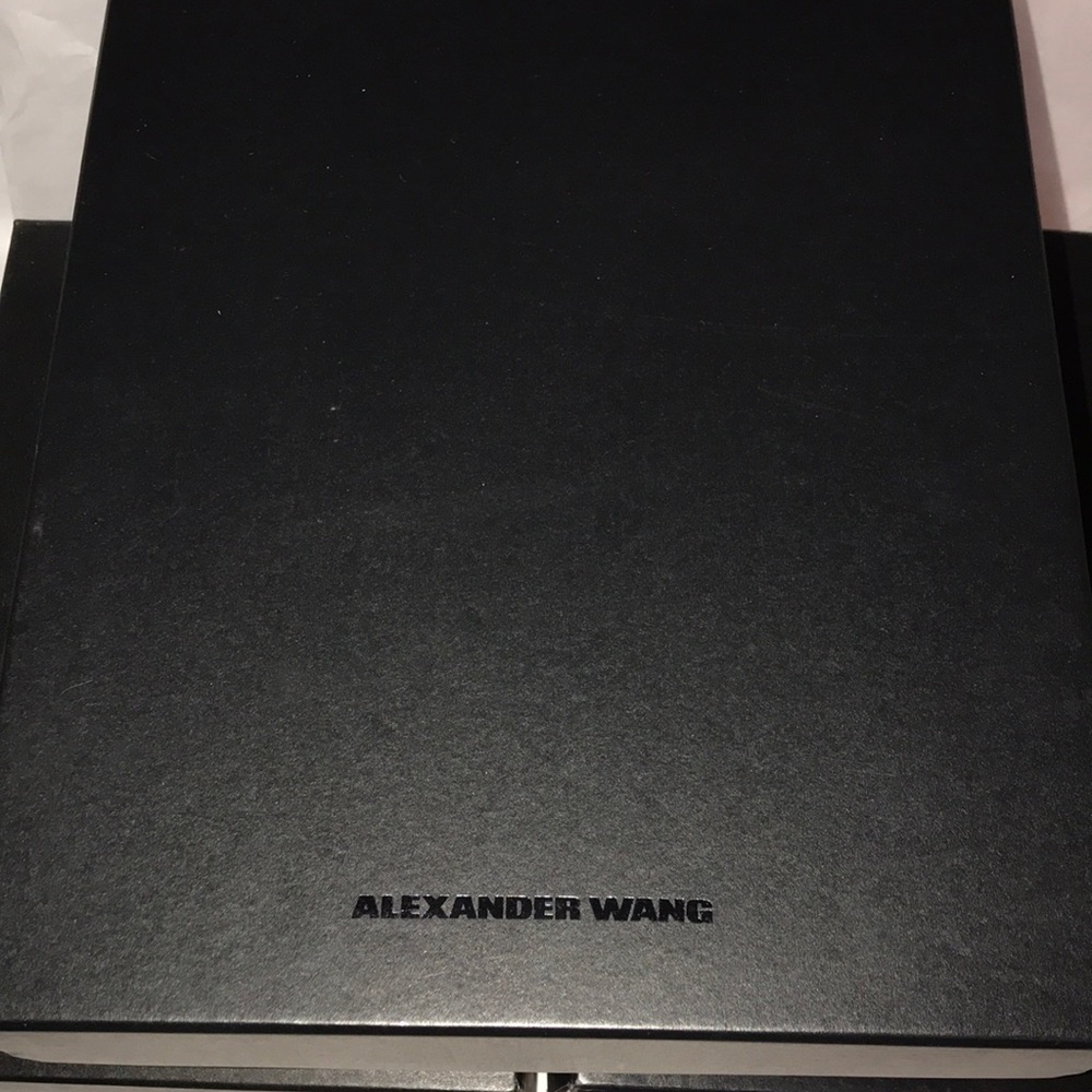 Alexander Wang Shoe Boxes