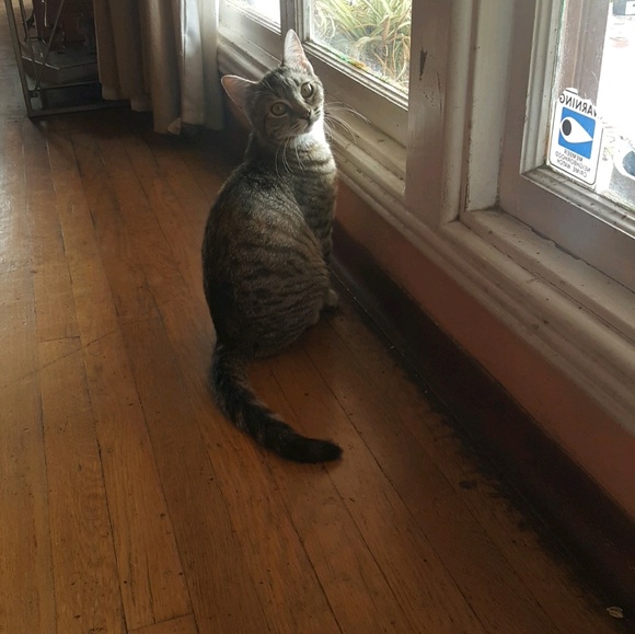 Meet your Posher, Yesenia - Picture 1 of 1