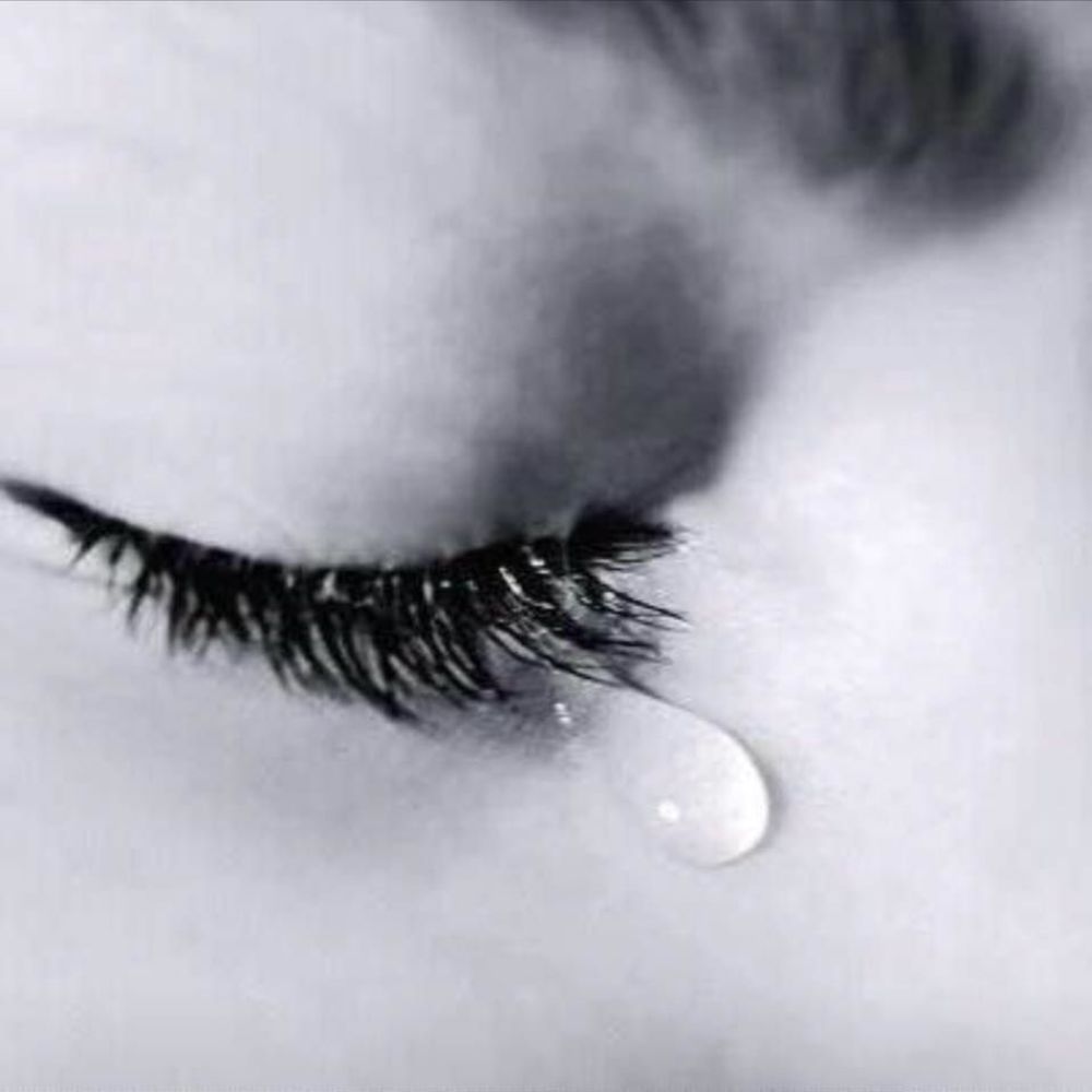 Meet your Posher, Vivian