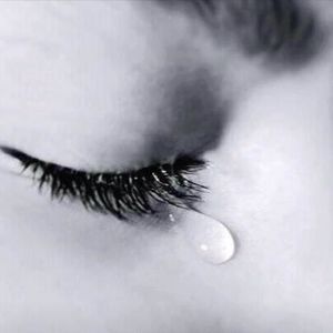 Meet your Posher, Vivian