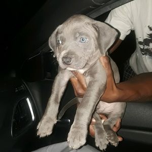 Meet your Posher, Mike