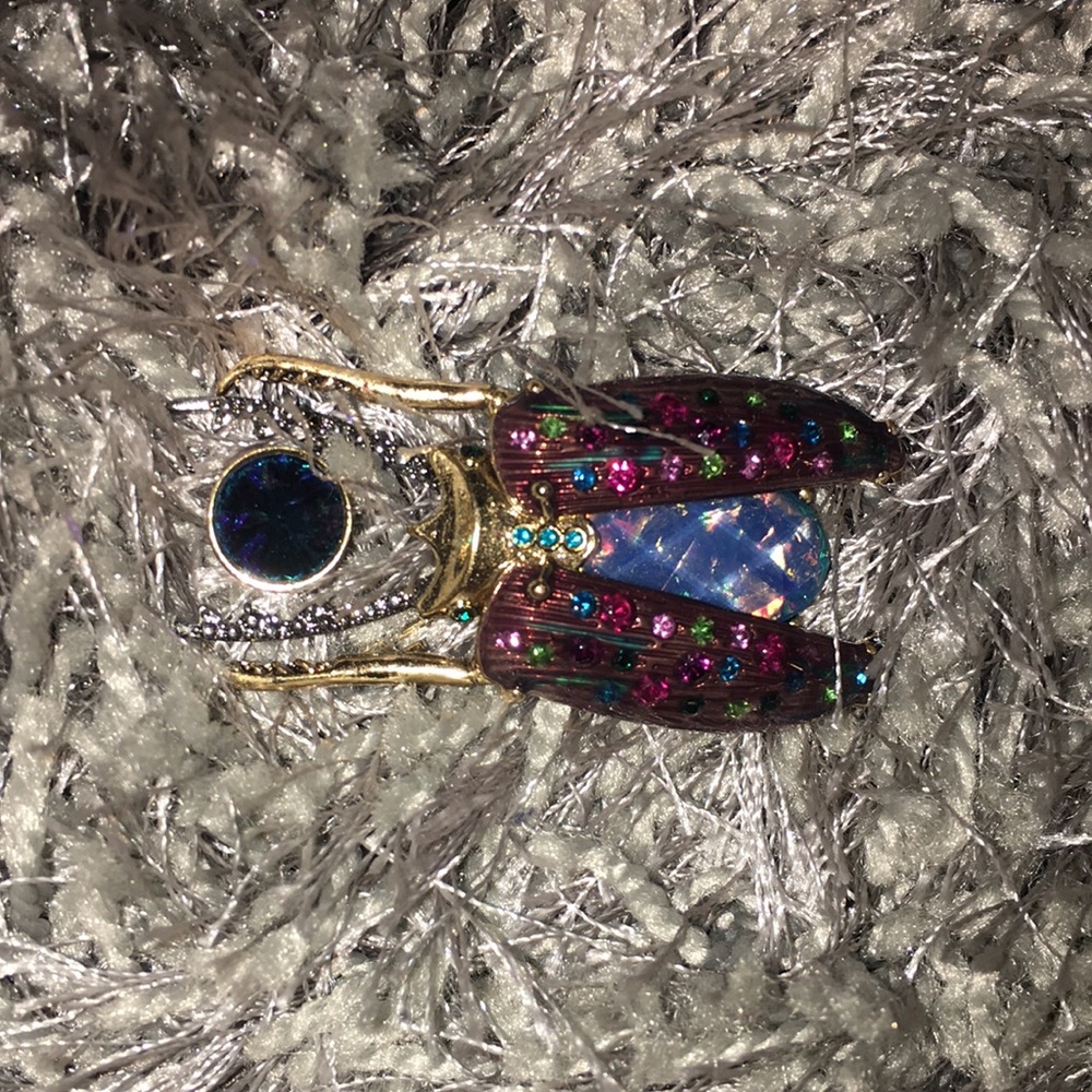 Hersey Johnson scarab beetle brooch