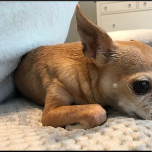 Meet your Posher, Marybel