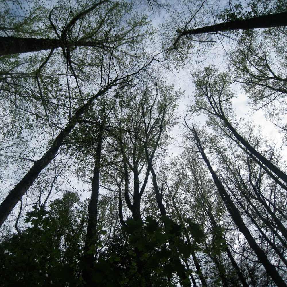 Meet your Posher, Dani