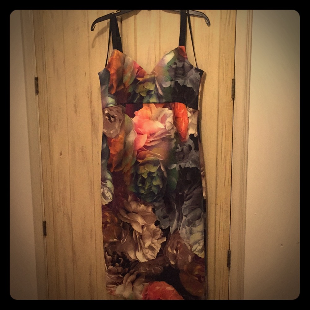 Ted Baker size 4 body con floral print dress