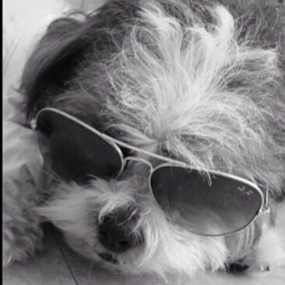 Meet the Posher @laurenmichellej xoxo Lauren 💋 - Picture 4 of 8