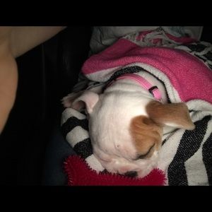 Meet your Posher, Jason