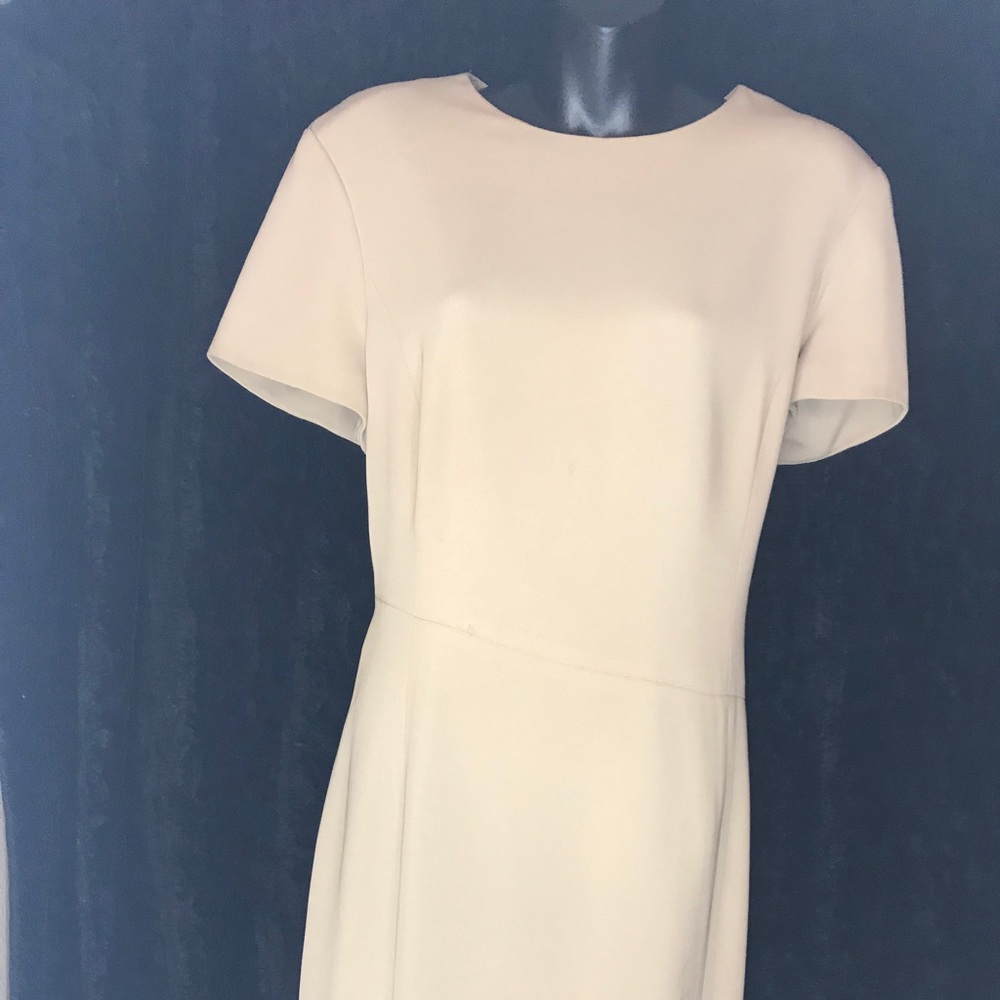 Classy ALL NUDE DRESS!