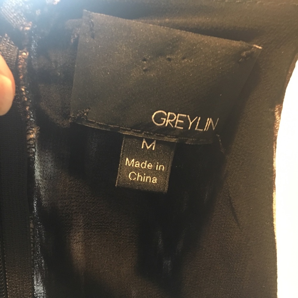 Greylin Rowan Silk Cross Front Dress - Picture 4 of 8