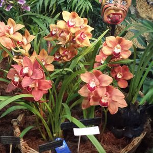 Meet your Posher, Mayte