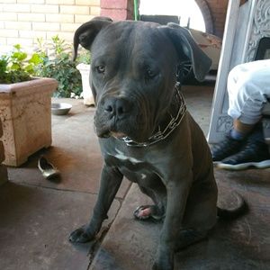 Meet your Posher, Bryan