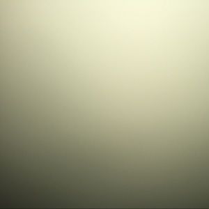 Meet your Posher, Cesar