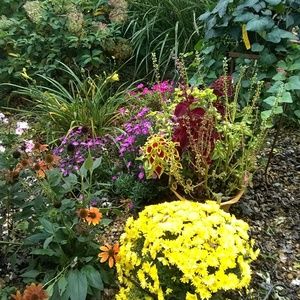 Meet your Posher, Janet