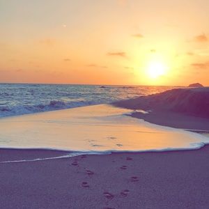 Meet your Posher, Areanna