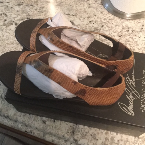 Sanders - Picture 4 of 4