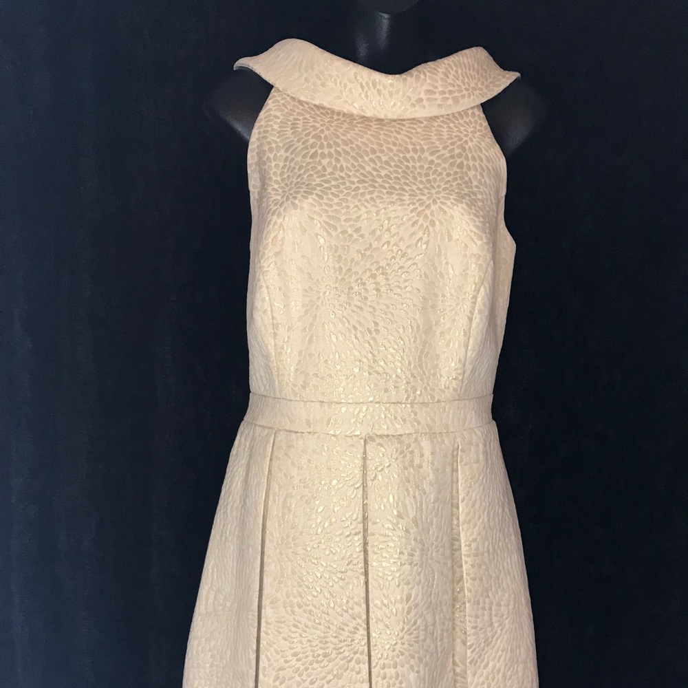 David's Bridal Creme And White Detailed Dress