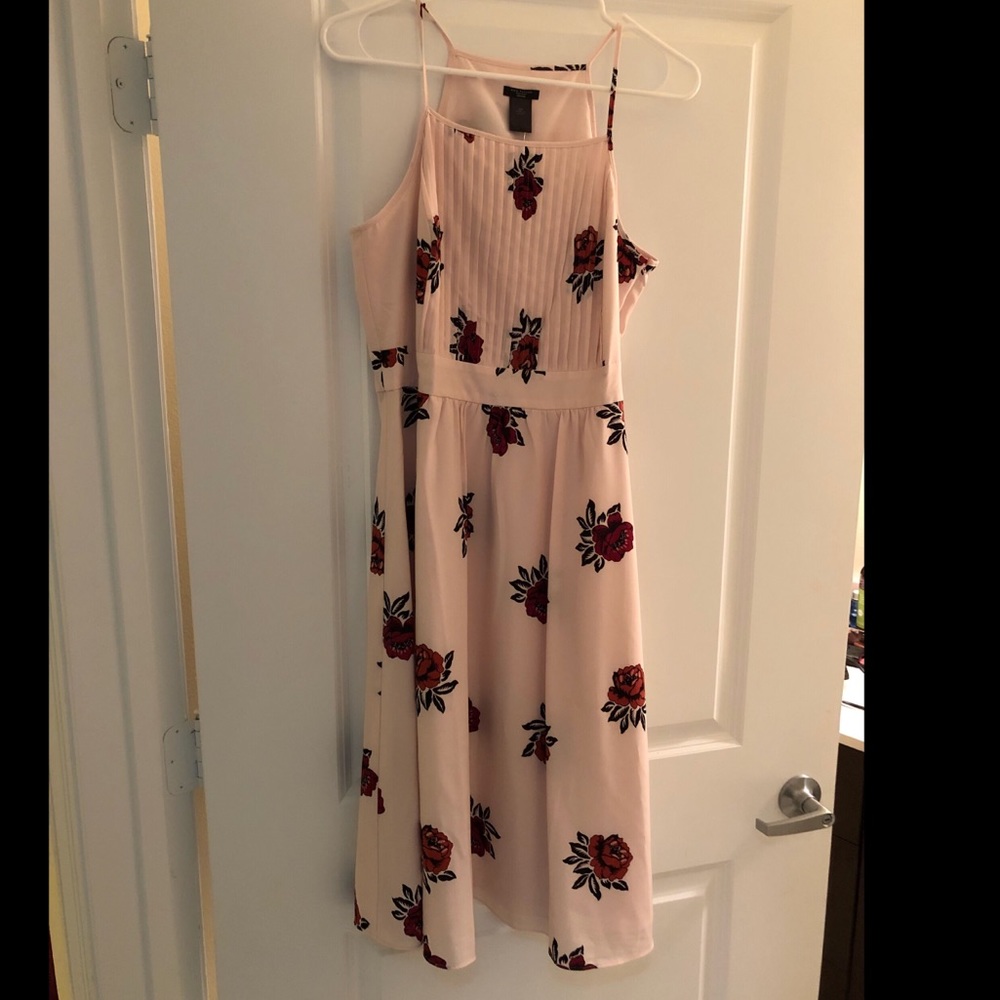 Ann Taylor Floral Dress - 6P (Petite) NWT