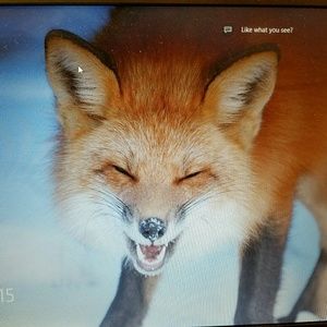 Meet your Posher, Alexa