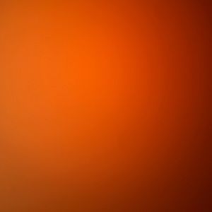 Meet your Posher, Frida