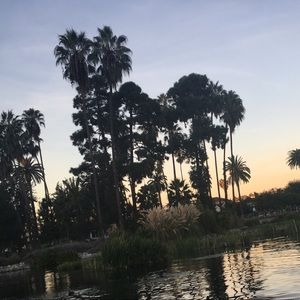 Meet your Posher, Elina