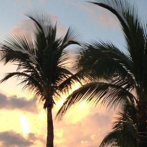 Meet your Posher, Eileen