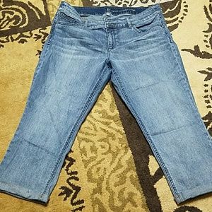 Ny&c size 14 capri curve creator