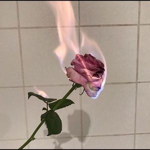 Meet your Posher, Sinai