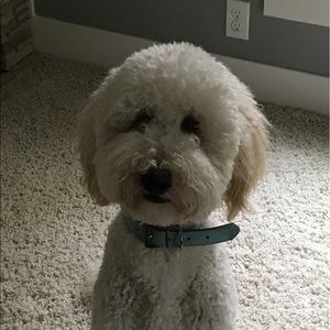 Meet your Posher, Deanna