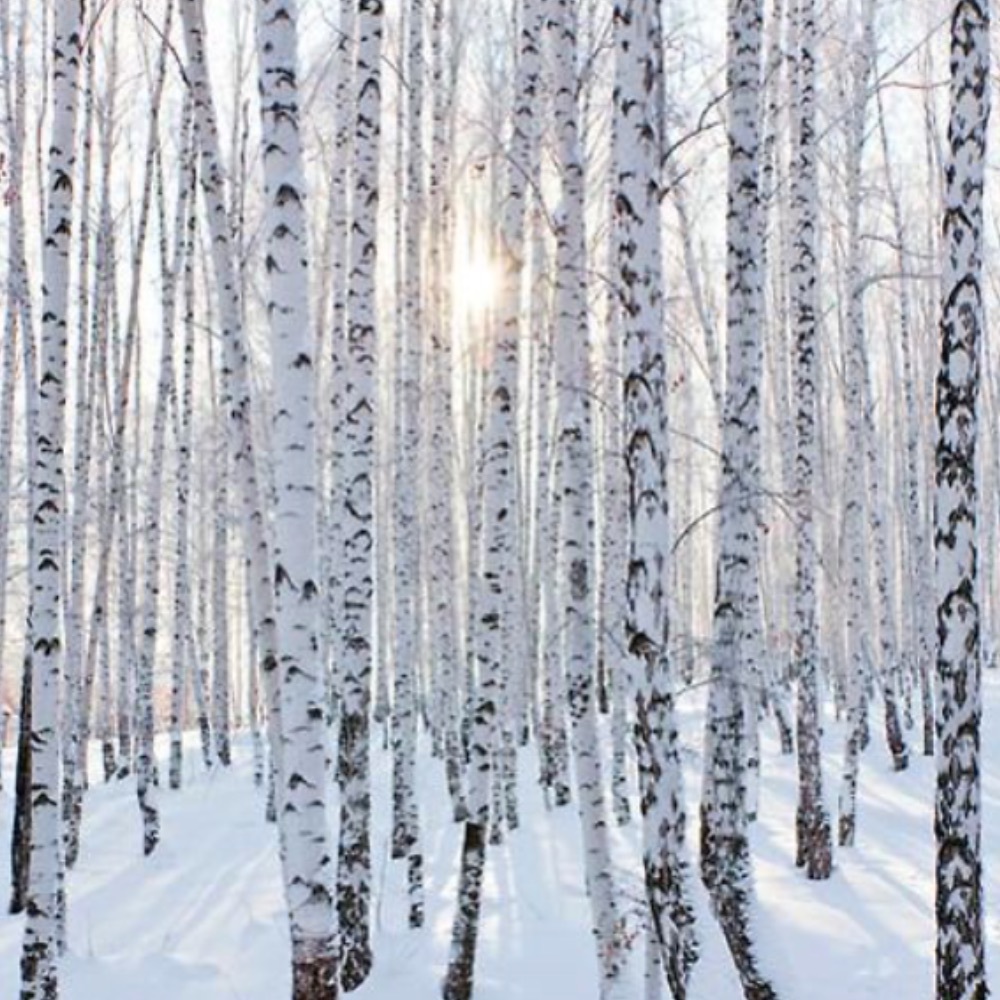 Meet your Posher, Joanna