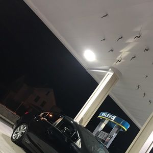 Meet your Posher, Roberto