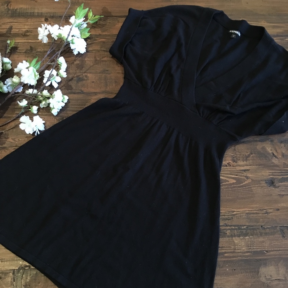 Express sweater dress